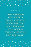 But perhaps you hate a thing and it is good for you, and perhaps you love a thing and it is bad for you - Quran 2-216